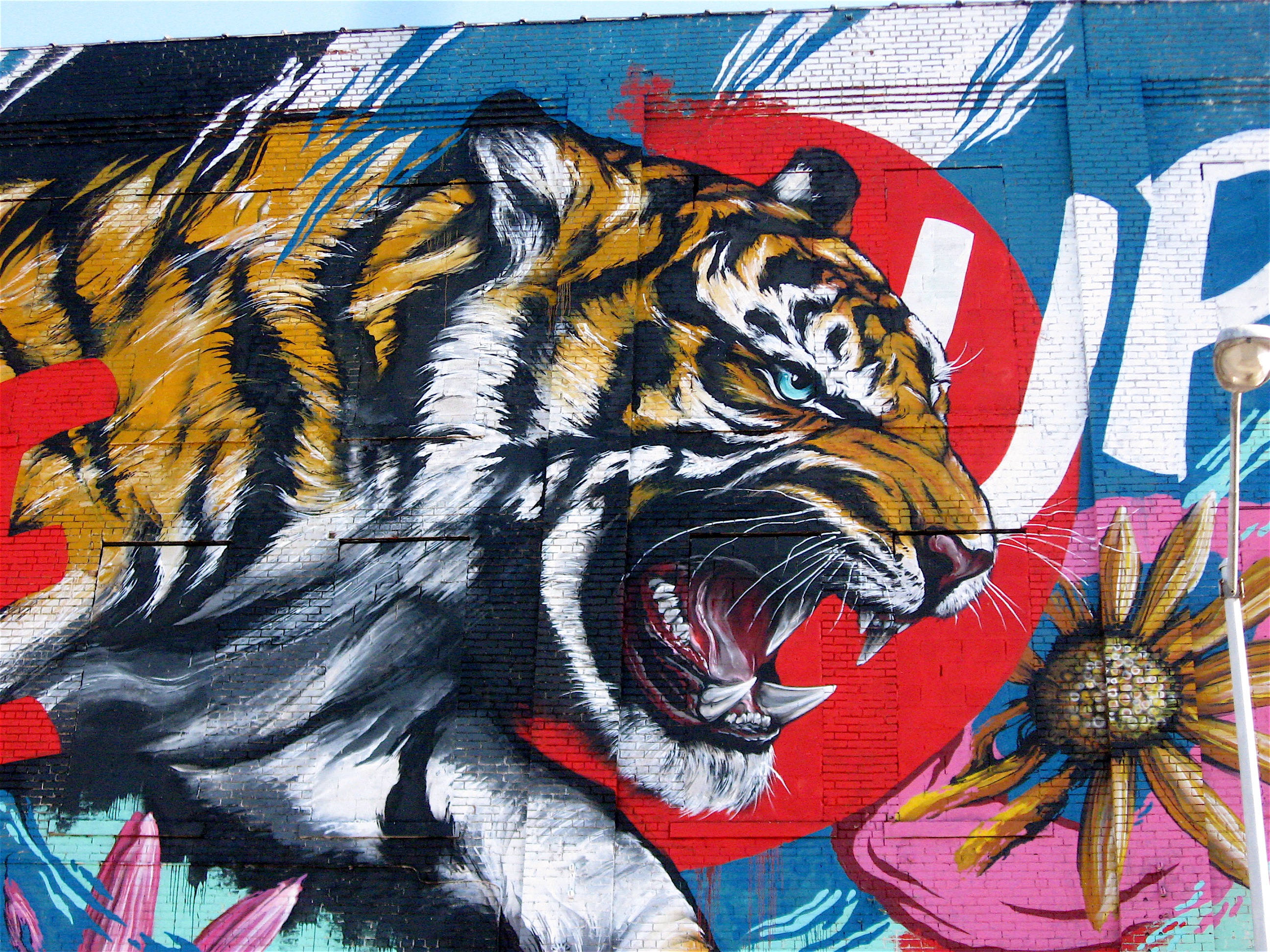 Граффити тигра